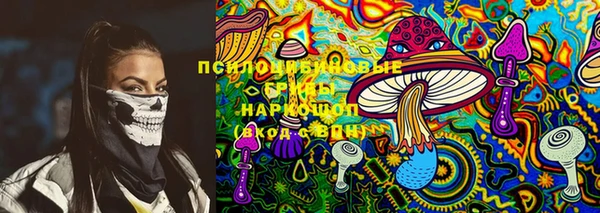 PSILOCYBIN Мегион