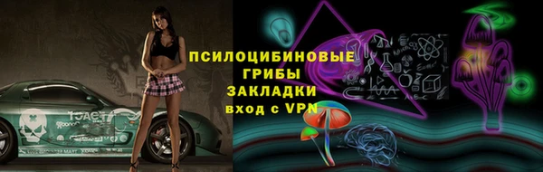 PSILOCYBIN Медногорск
