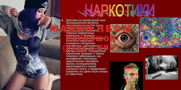 Альфа ПВП Медвежьегорск