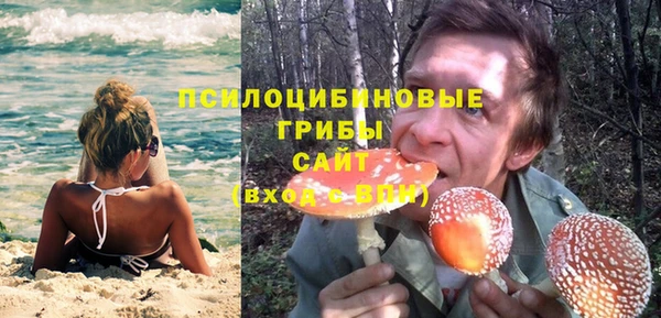 PSILOCYBIN Мегион